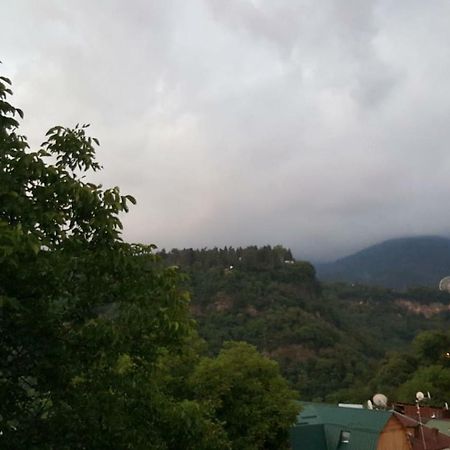 Hillside Orbeliani Residence بورجومي المظهر الخارجي الصورة